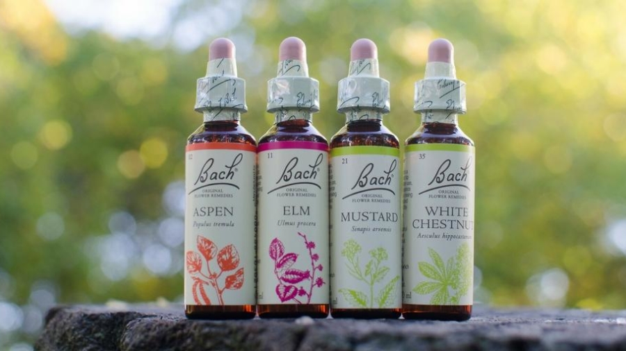 Bach remedies Bach Remedies and Bush Remedies